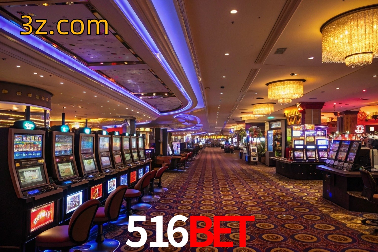 vip 516bet